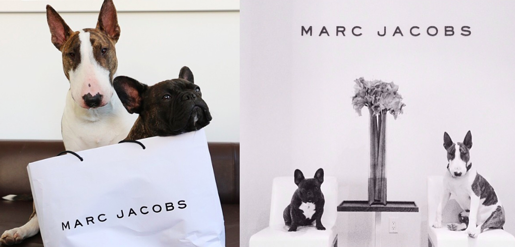 Marc Jacobs i jego psy: Neville i Charlie