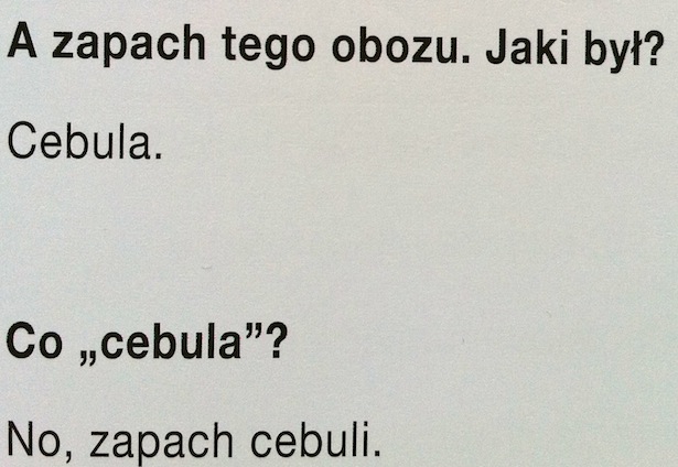 Świat w zasięgu nosa cebula