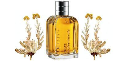 Top 20 ekologicznych Perfum L'occitane Imortelle De Corse