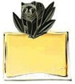 Ulubione perfumy Natalii Kukulskiej - Kenzo Jungle Tiger